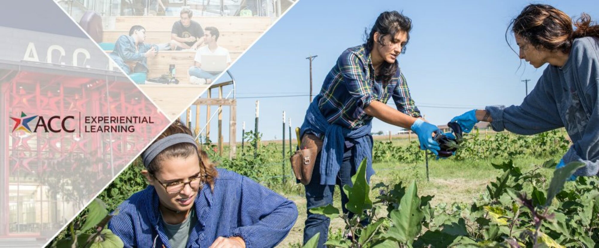 Service-Learning