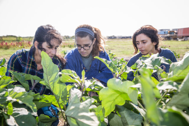 Service-Learning